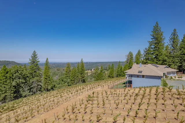 $875,000 | 18591 Ponderosa Hills Road, Volcano, CA 95689