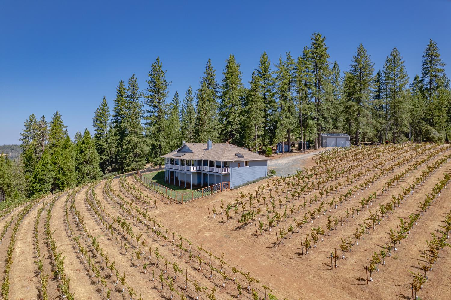 18591 Ponderosa Hills Road Volcano, CA 95689 - Photo 7 of 77
