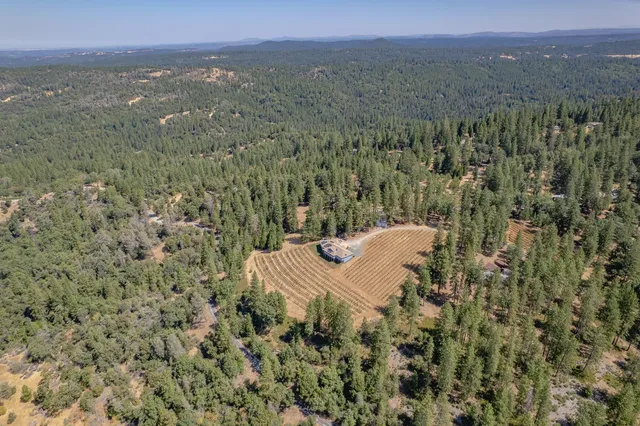 $875,000 | 18591 Ponderosa Hills Road, Volcano, CA 95689