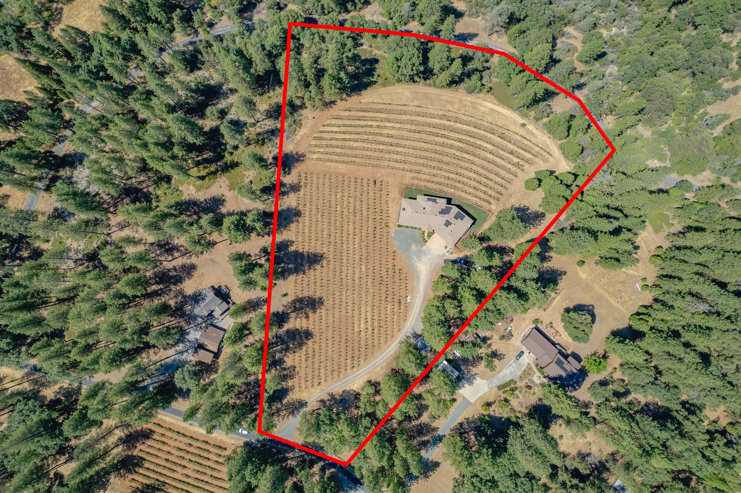 18591 Ponderosa Hills Road Volcano, CA 95689 - Photo 75 of 77