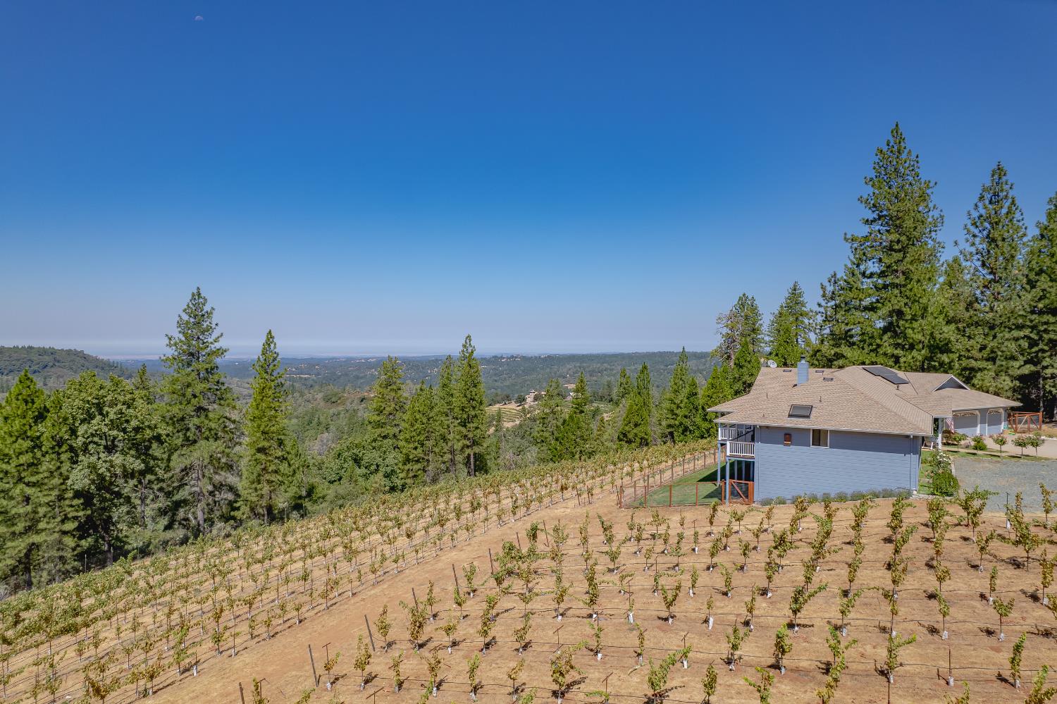 18591 Ponderosa Hills Road Volcano, CA 95689 - Photo 8 of 77