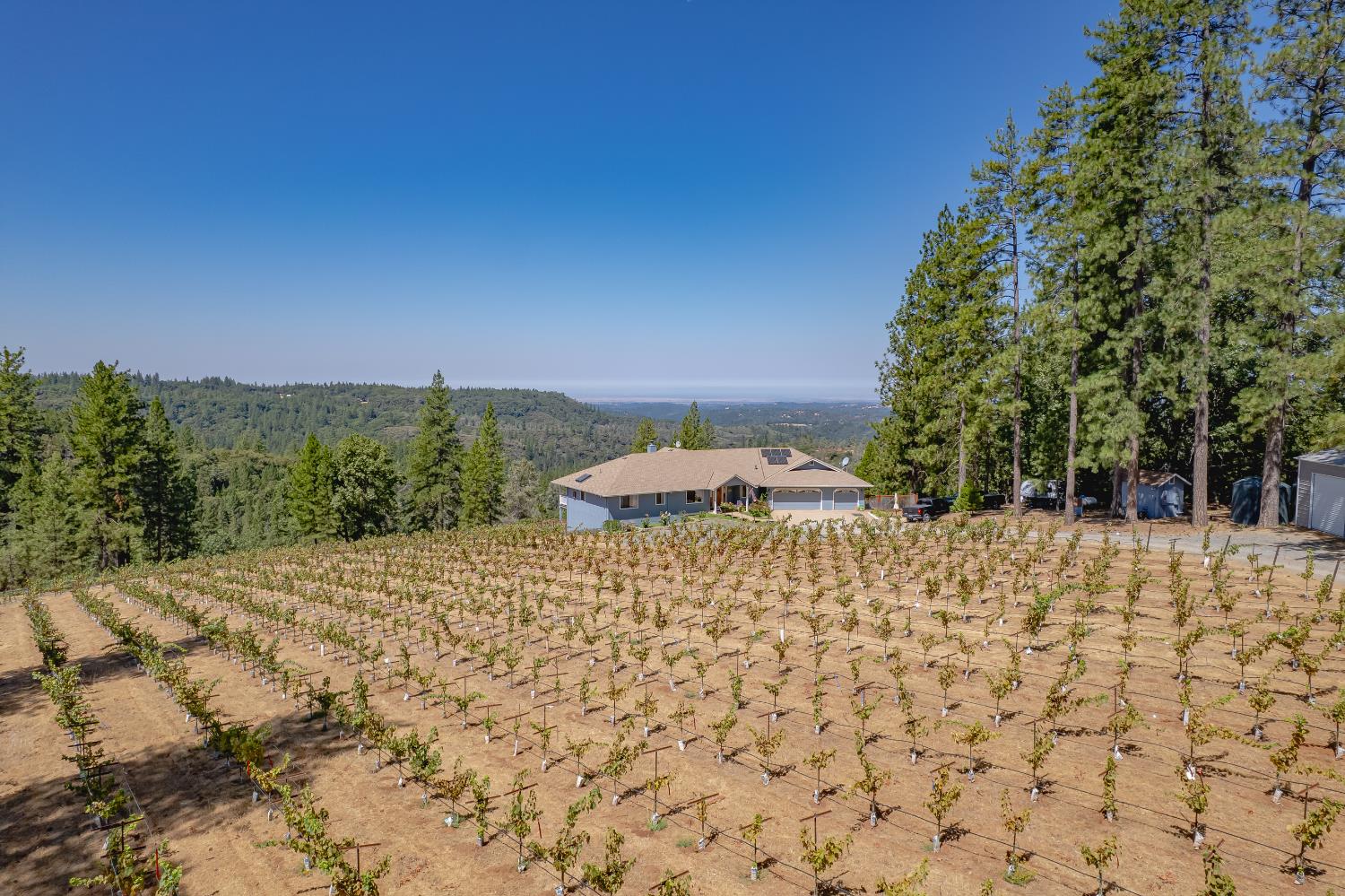 18591 Ponderosa Hills Road Volcano, CA 95689 - Photo 9 of 77