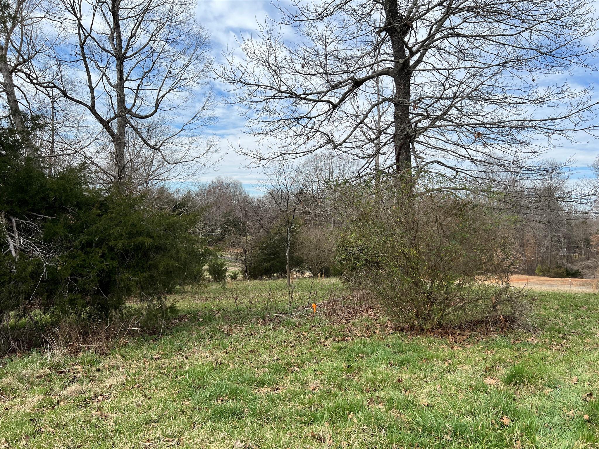 2 Ratchford Farm Road Gastonia, NC 28056 - Photo 12 of 21 a backyard of a house with lots of green space