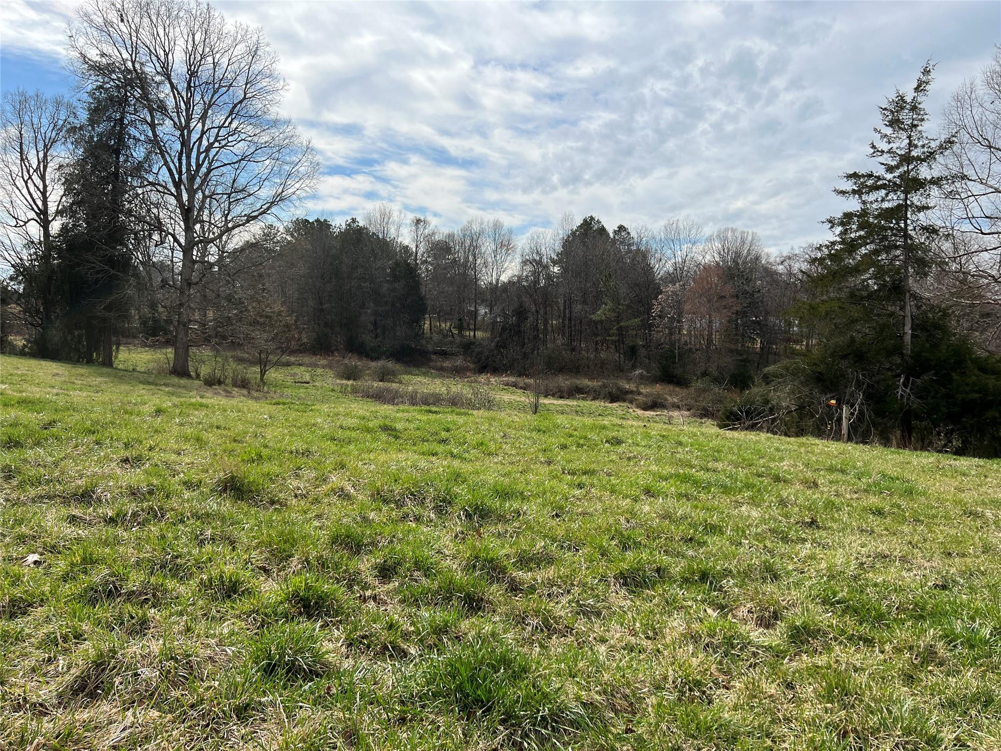 2 Ratchford Farm Road Gastonia, NC 28056 - Photo 15 of 21 a backyard of a house with lots of green space
