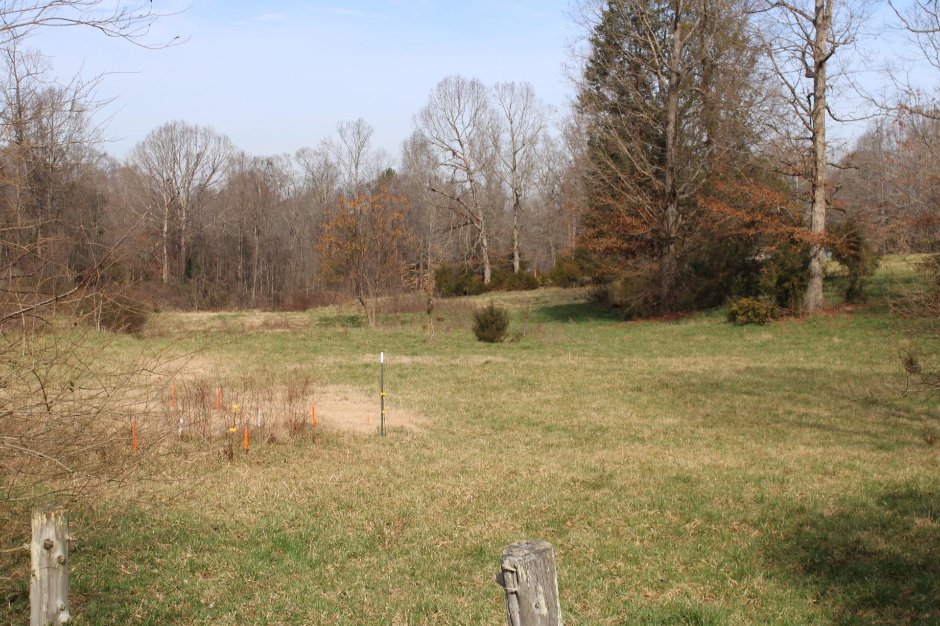 2 Ratchford Farm Road Gastonia, NC 28056 - Photo 3 of 21 a view of a yard with trees in the background