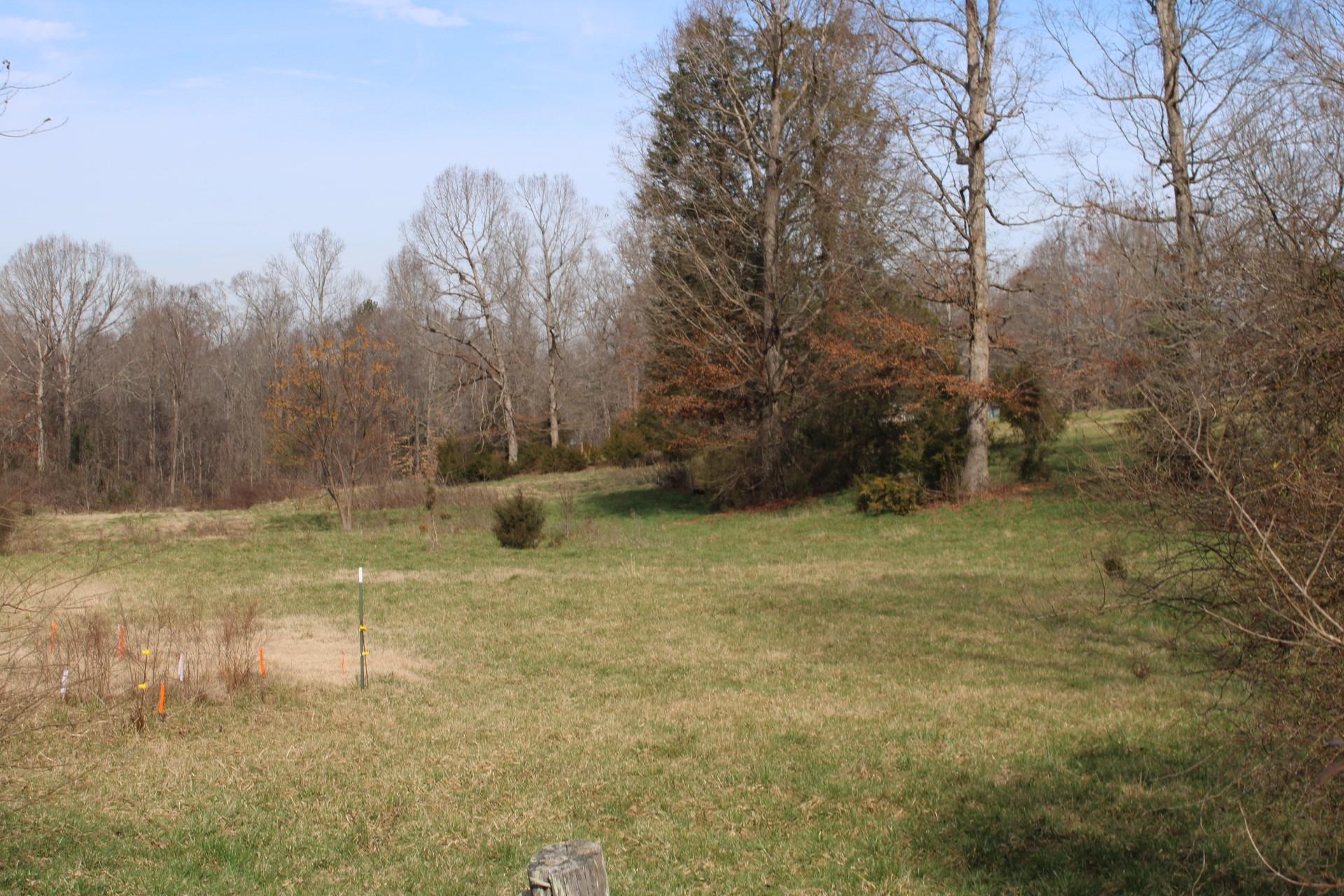 2 Ratchford Farm Road Gastonia, NC 28056 - Photo 5 of 21 a view of a yard with trees