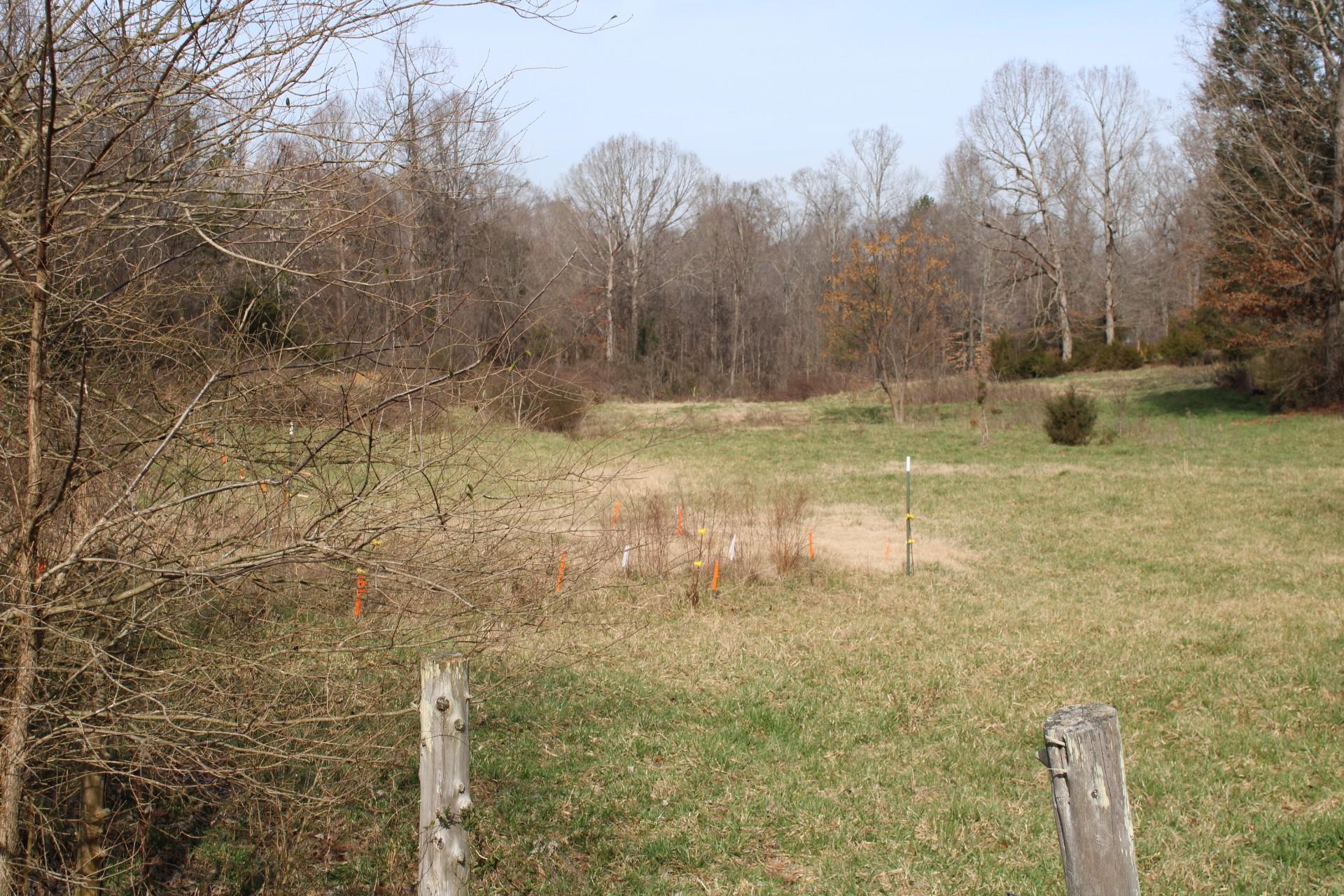 2 Ratchford Farm Road Gastonia, NC 28056 - Photo 6 of 21 a view of a yard with trees