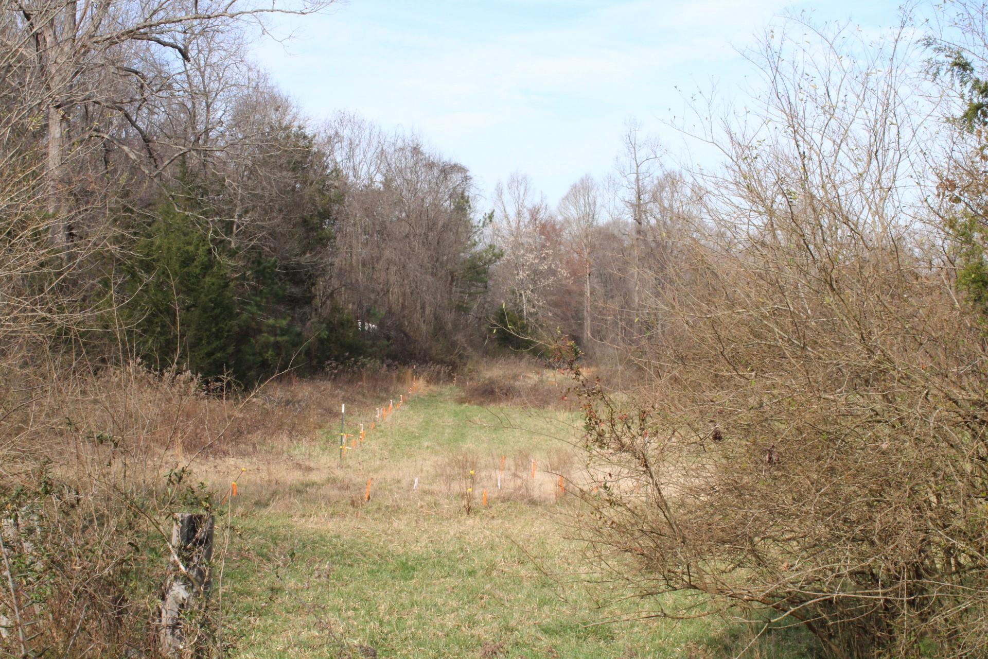 2 Ratchford Farm Road Gastonia, NC 28056 - Photo 7 of 21 a view of a yard with trees in the background
