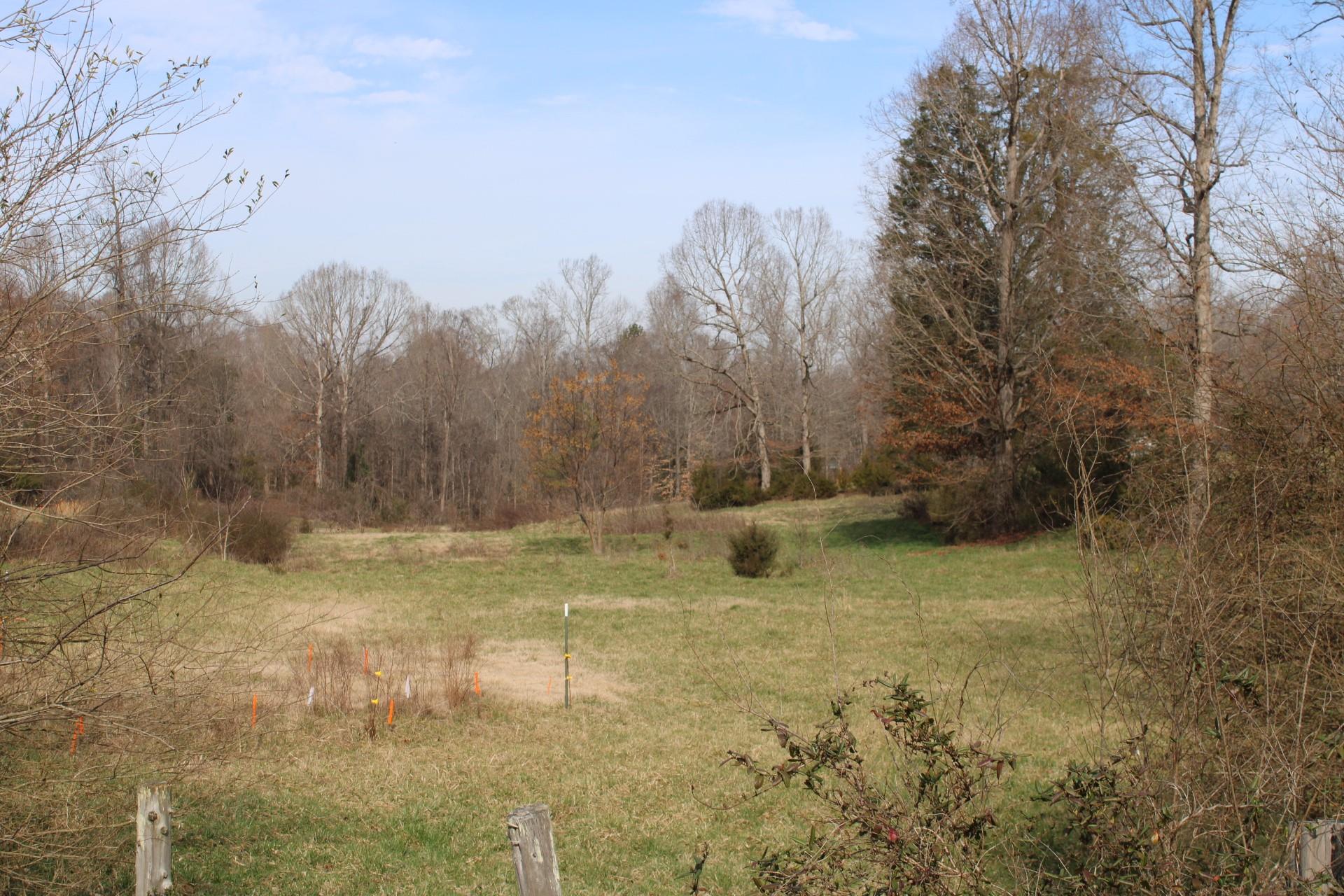 2 Ratchford Farm Road Gastonia, NC 28056 - Photo 8 of 21 a view of a yard with trees