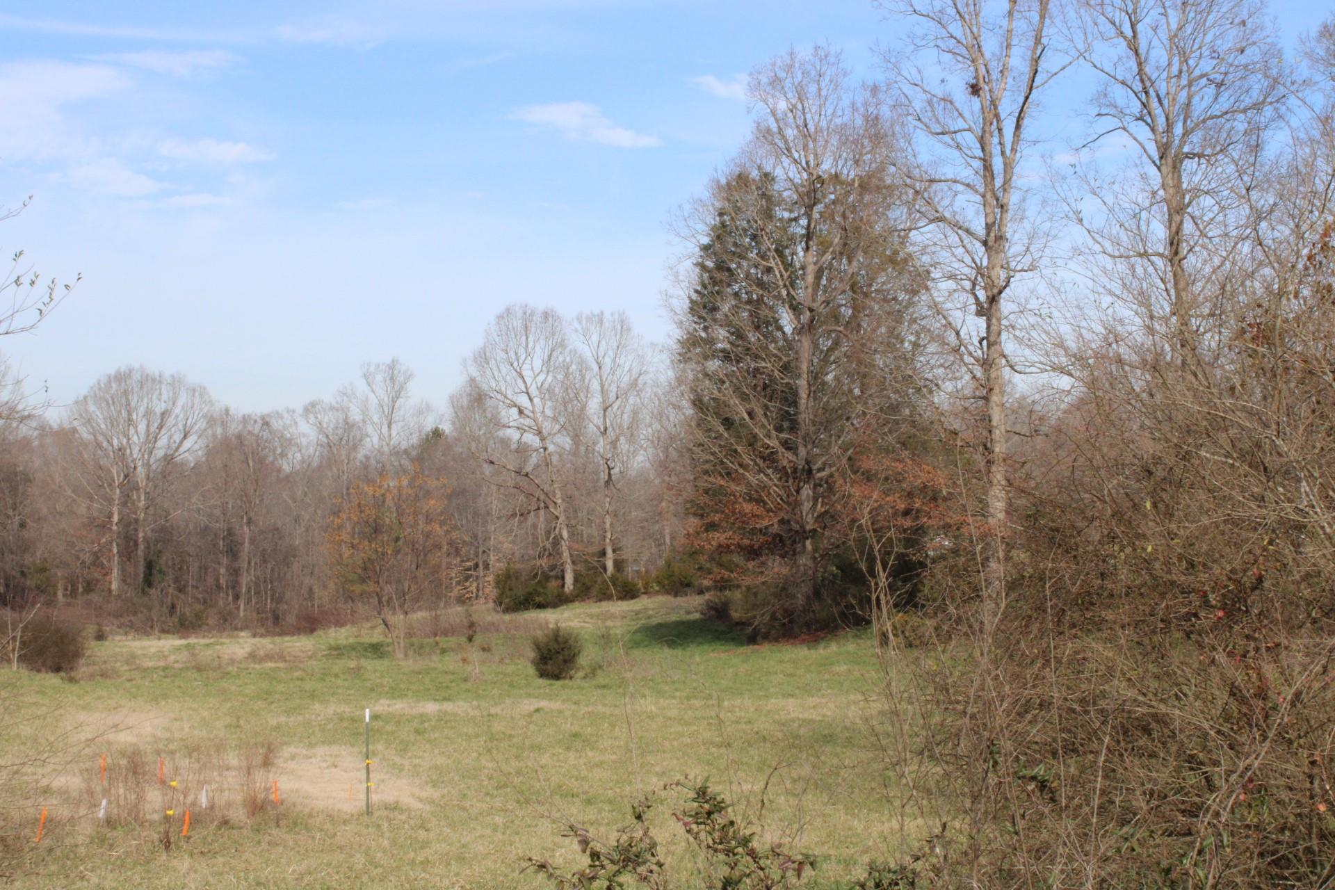 2 Ratchford Farm Road Gastonia, NC 28056 - Photo 9 of 21 a view of a yard with trees in the background