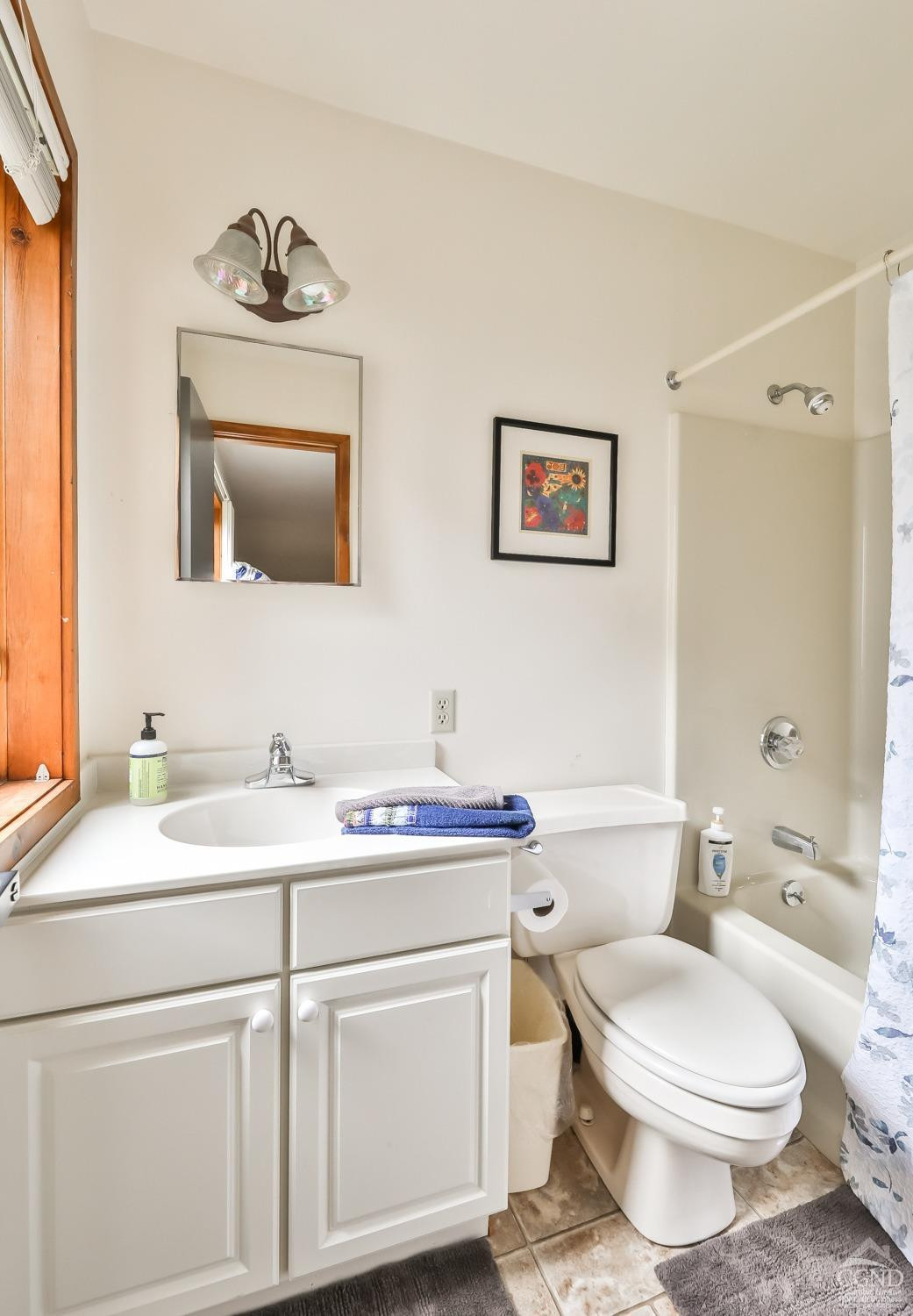 28-1 Loo Bridge Lane, Unit 22A Windham, NY 12496 - Photo 14 of 35 a bathroom with a toilet a sink and mirror