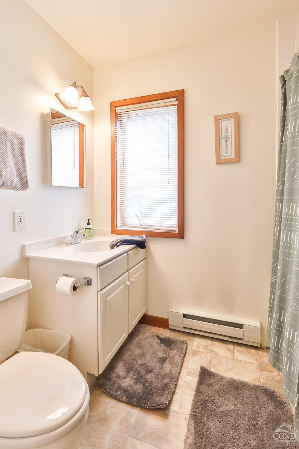 28-1 Loo Bridge Lane, Unit 22A Windham, NY 12496 - Photo 17 of 35 a bathroom with a sink a toilet and mirror