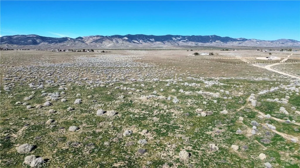 0 Gaskell Road Rosamond, CA 93560 - Photo 5 of 10