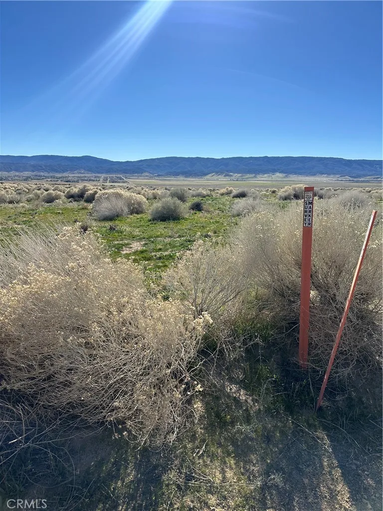 0 Gaskell Road Rosamond, CA 93560 - Photo 9 of 10 Survey Marker