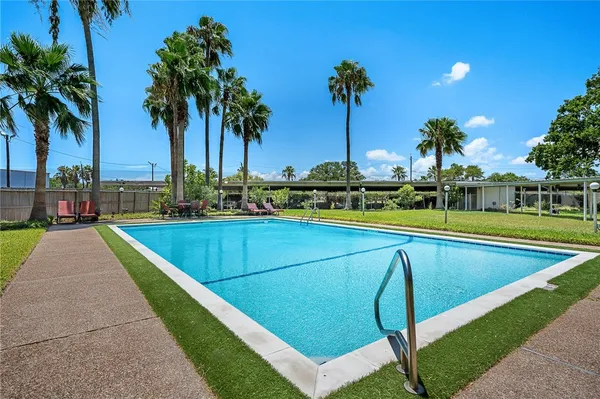 a view of swimming pool that has a lawn chairs and a palm tree