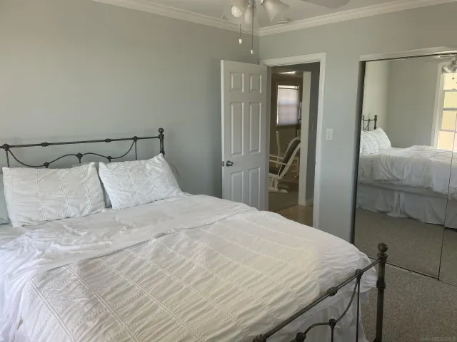 a bathroom with a shower curtain and a window