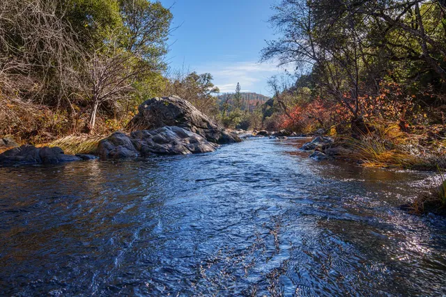 $499,000 | 15747 French Town Road, Brownsville, CA 95919