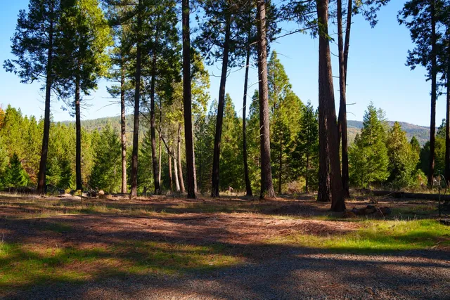 $499,000 | 15747 French Town Road, Brownsville, CA 95919