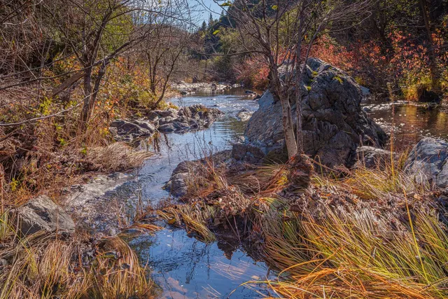 $499,000 | 15747 French Town Road, Brownsville, CA 95919