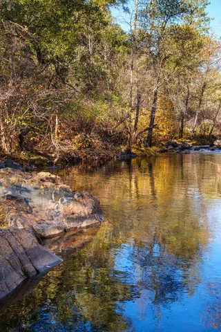 $499,000 | 15747 French Town Road, Brownsville, CA 95919