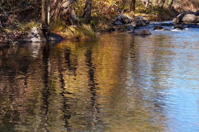 $499,000 | 15747 French Town Road, Brownsville, CA 95919