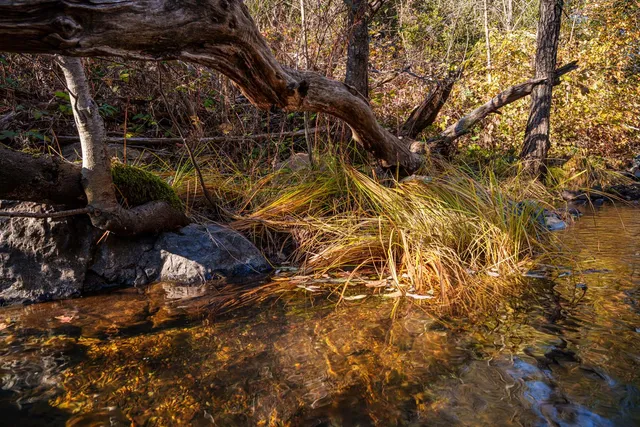 $499,000 | 15747 French Town Road, Brownsville, CA 95919