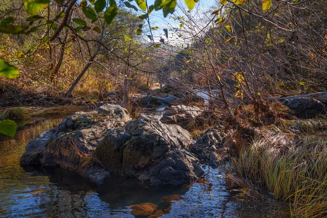 $499,000 | 15747 French Town Road, Brownsville, CA 95919