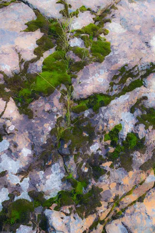 $499,000 | 15747 French Town Road, Brownsville, CA 95919