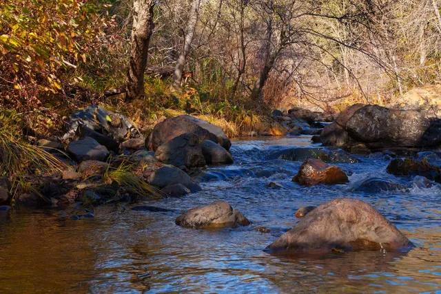 $499,000 | 15747 French Town Road, Brownsville, CA 95919