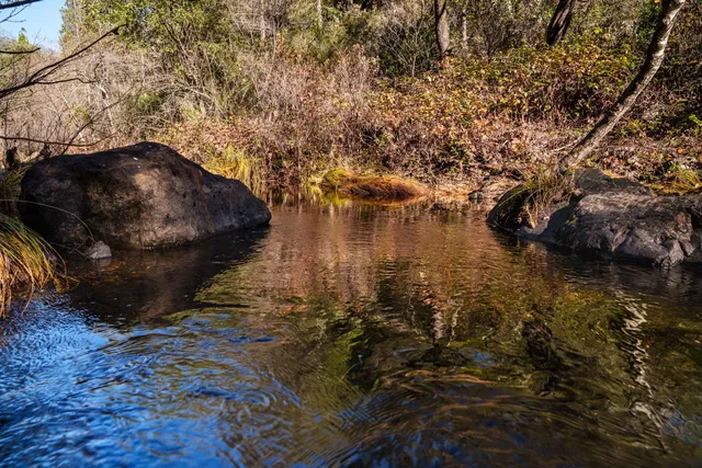 $499,000 | 15747 French Town Road, Brownsville, CA 95919