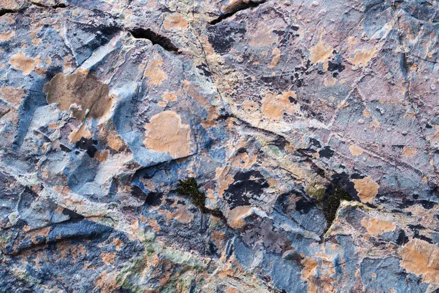 $499,000 | 15747 French Town Road, Brownsville, CA 95919