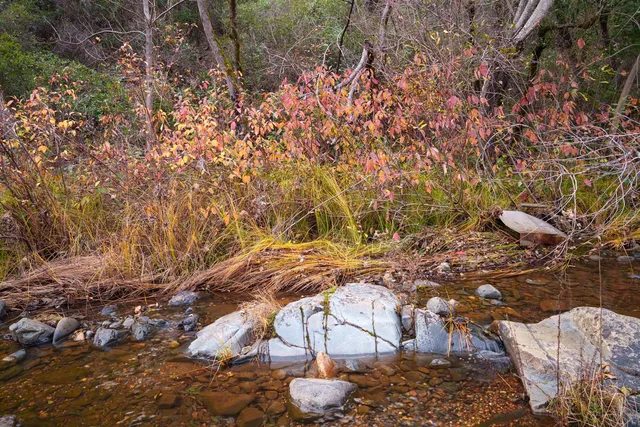 $499,000 | 15747 French Town Road, Brownsville, CA 95919