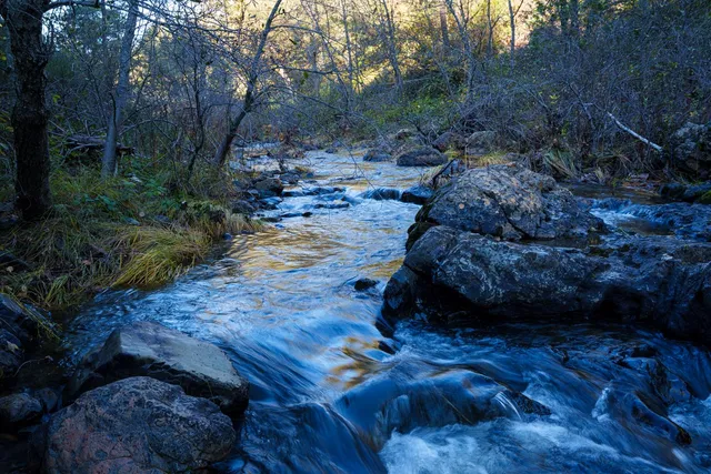 $499,000 | 15747 French Town Road, Brownsville, CA 95919