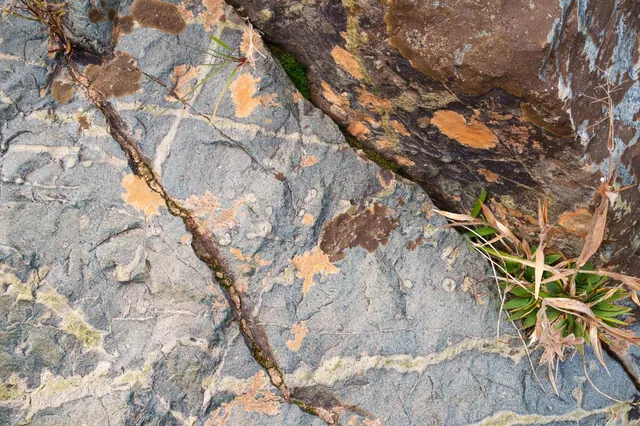 $499,000 | 15747 French Town Road, Brownsville, CA 95919