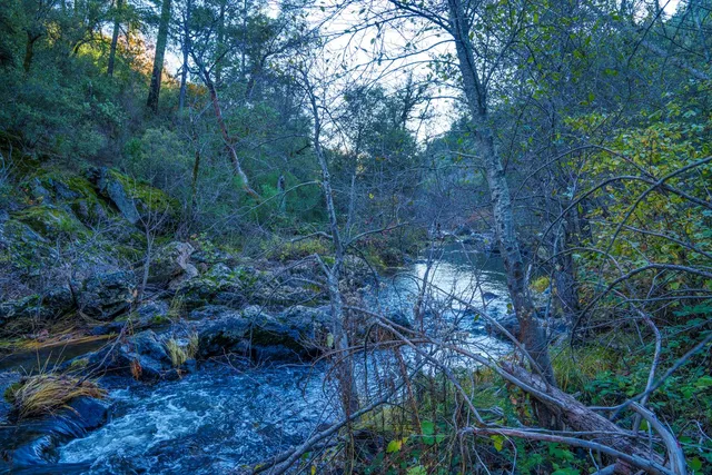 $499,000 | 15747 French Town Road, Brownsville, CA 95919