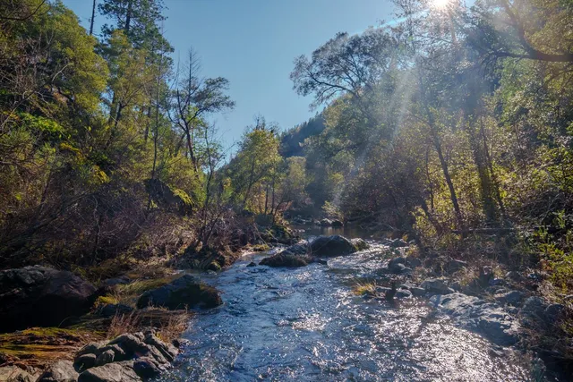 $499,000 | 15747 French Town Road, Brownsville, CA 95919