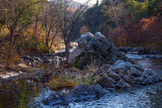 $499,000 | 15747 French Town Road, Brownsville, CA 95919