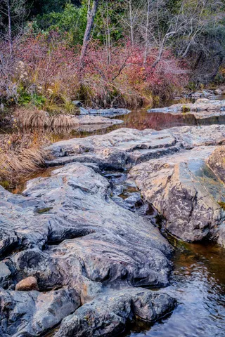 $499,000 | 15747 French Town Road, Brownsville, CA 95919