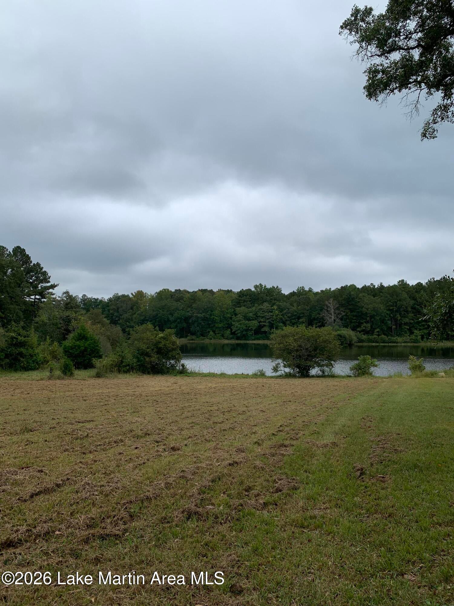 1751 Rivendell Road Dadeville, AL 36853 - Photo 6 of 10 Gallery Image 6