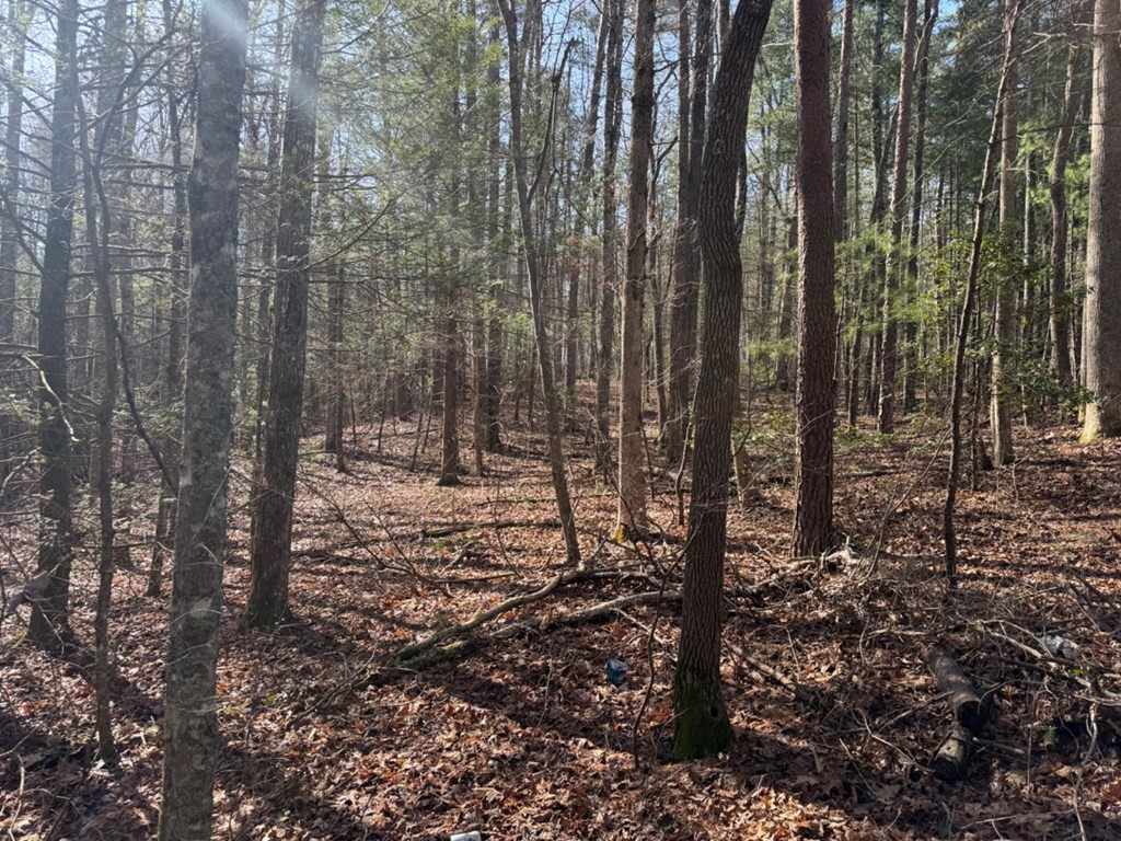 1156 Liberty Road Murphy, NC 28906 - Photo 5 of 7