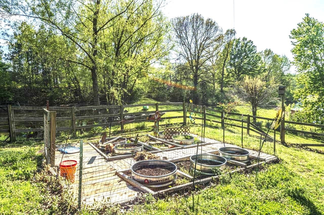 937 Kelleys Chapel Road Burlison, TN 38015 - Photo 28 of 40 View of yard with view of wooded area