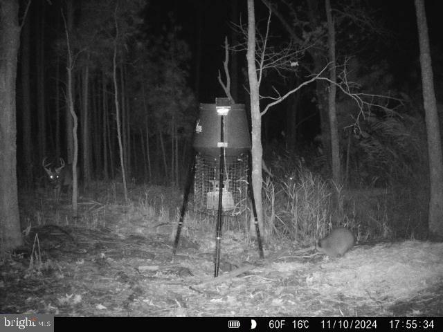 4035 Golden Hill Road Cambridge, MD 21613 - Photo 7 of 35 Gallery Image 7