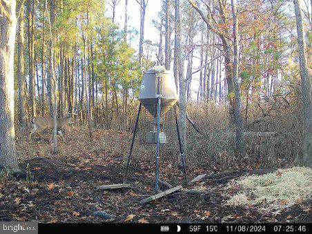 4035 Golden Hill Road Cambridge, MD 21613 - Photo 9 of 35 Gallery Image 9