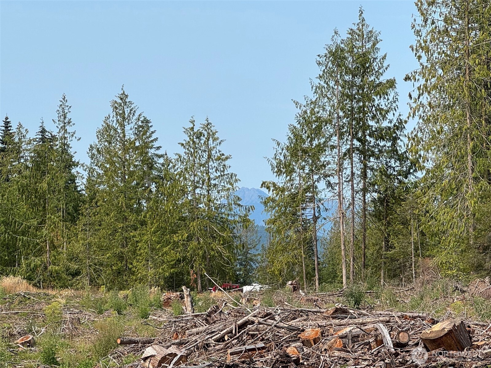 319 Reservoir Road Sequim, WA 98382 - Photo 11 of 38 a view of outdoor space with trees all around