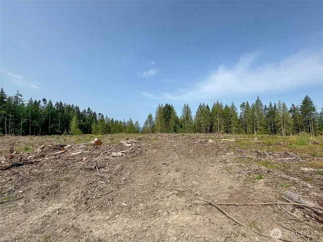 a view of a field with trees in background
