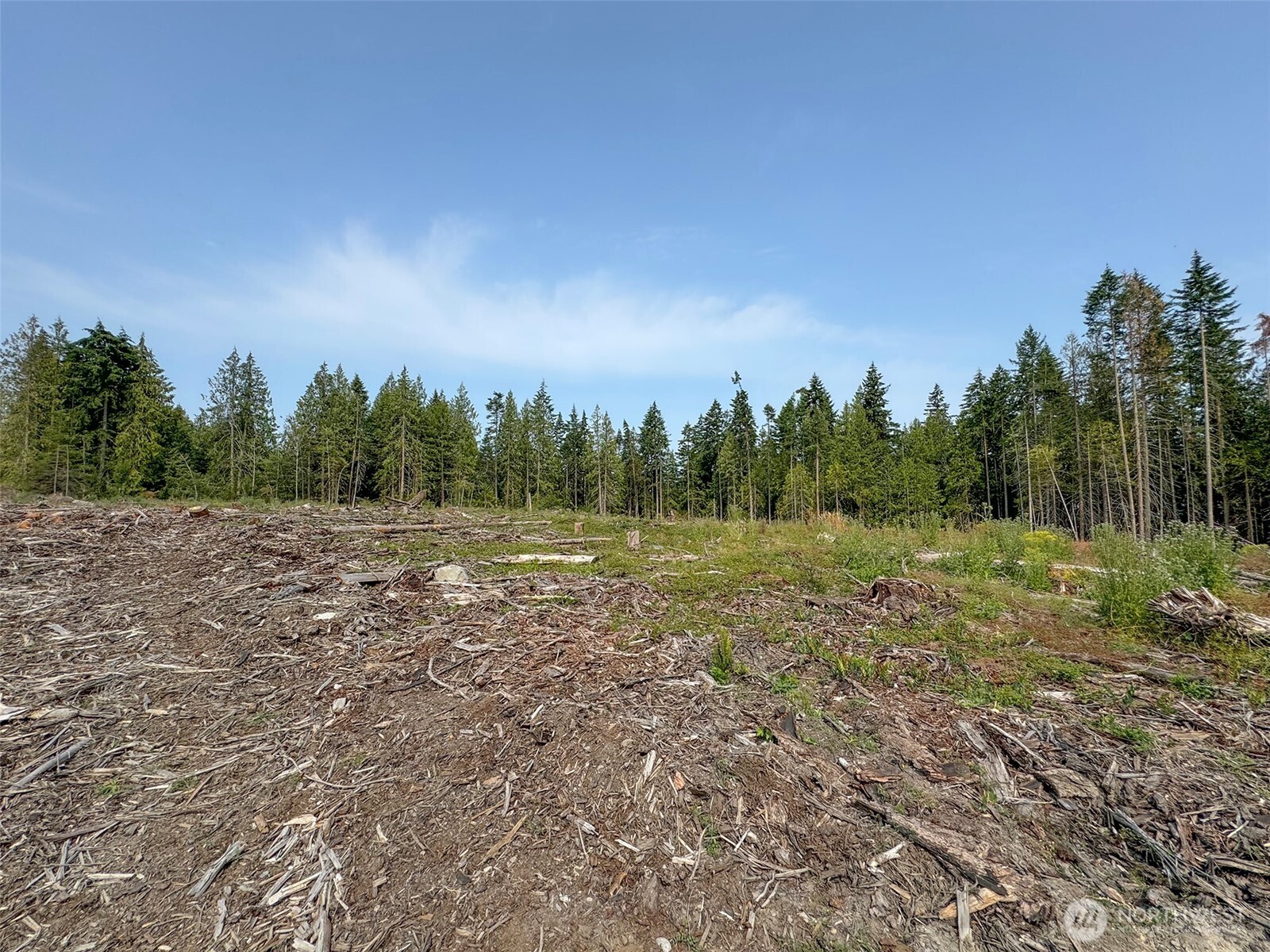319 Reservoir Road Sequim, WA 98382 - Photo 17 of 38 a view of a field with trees in background