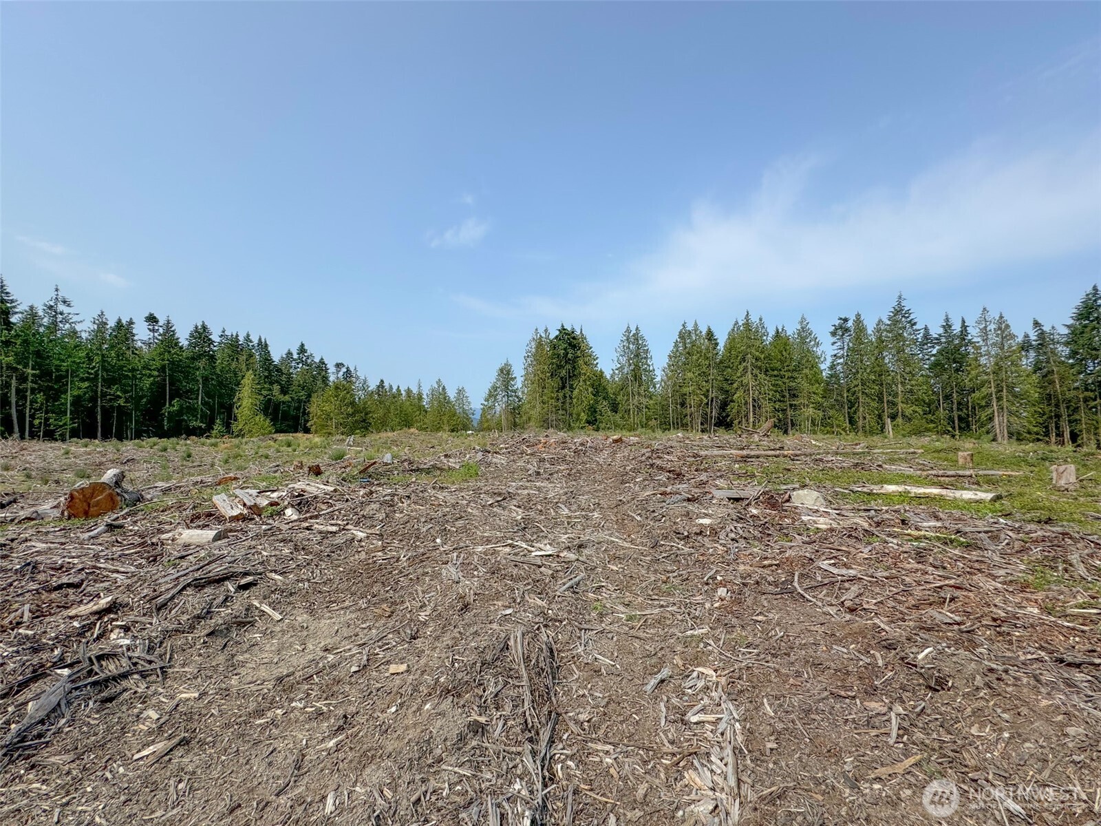 319 Reservoir Road Sequim, WA 98382 - Photo 18 of 38 a view of a field with trees in background