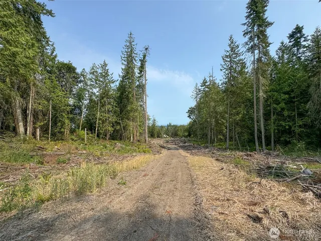 a view of a yard with trees