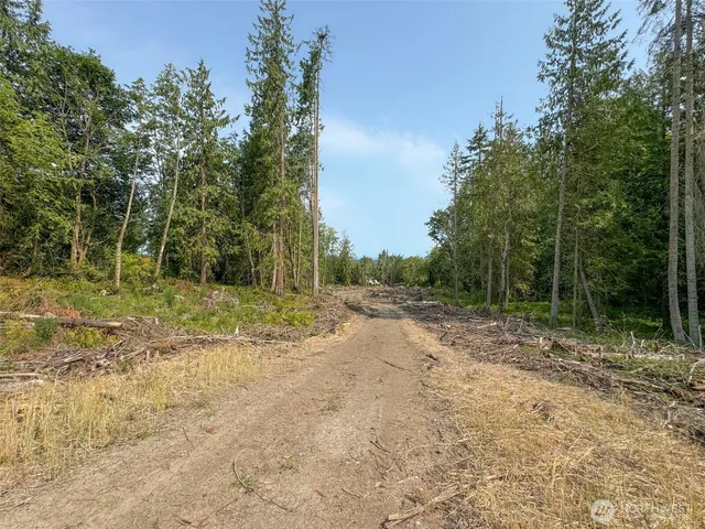 a view of backyard with green space