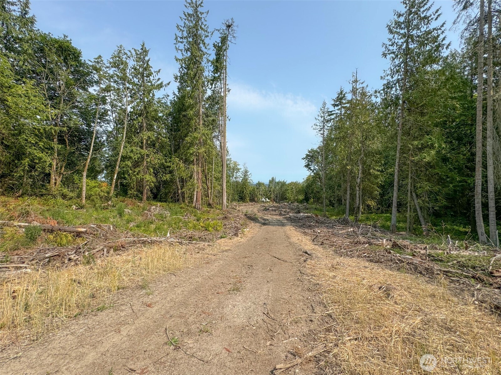 319 Reservoir Road Sequim, WA 98382 - Photo 21 of 38 a view of a yard with trees